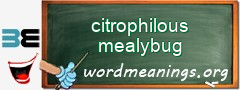 WordMeaning blackboard for citrophilous mealybug